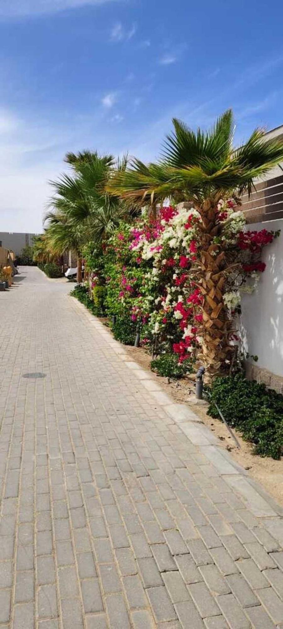 Bali Gouna